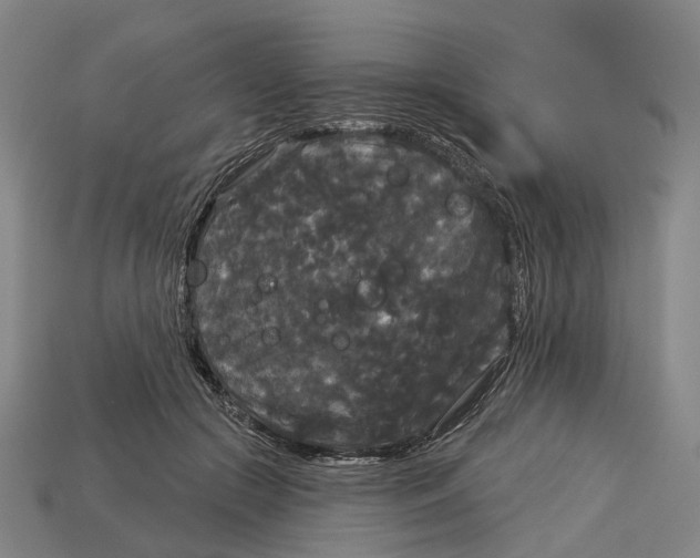 X0000113080553200909250951