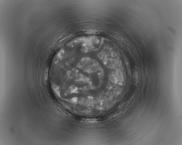 X0000113080554200909250951
