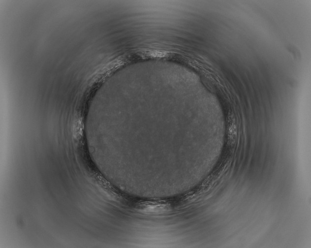 X0000113080555200909250951