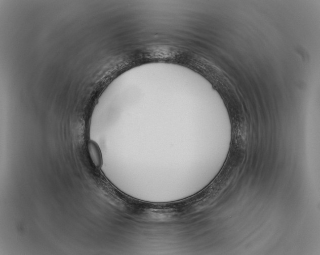 X0000113080556200909250951