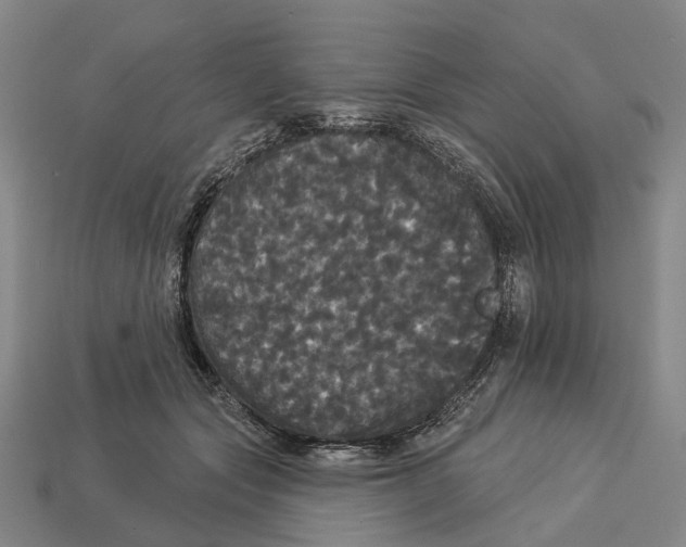 X0000113080557200909250951