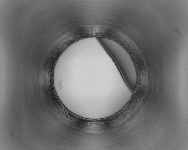 X0000113080558200909250951