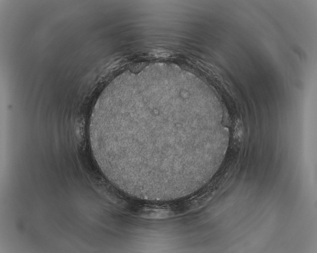 X0000113080559200909250951