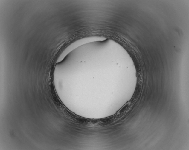 X0000113080560200909250951