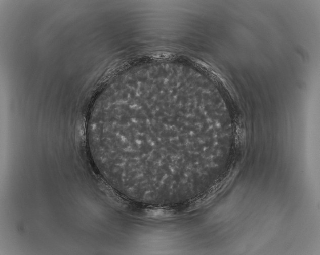 X0000113080561200909250952