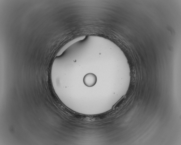 X0000113080562200909250952