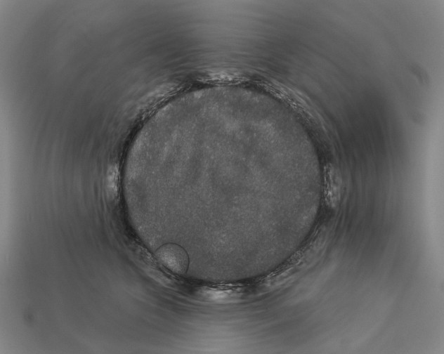 X0000113080563200909250952