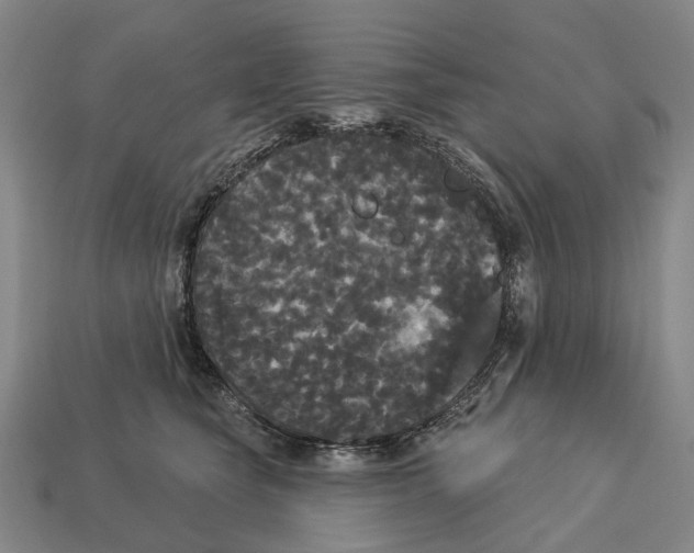 X0000113080565200909250952
