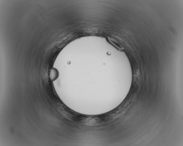 X0000113080566200909250952