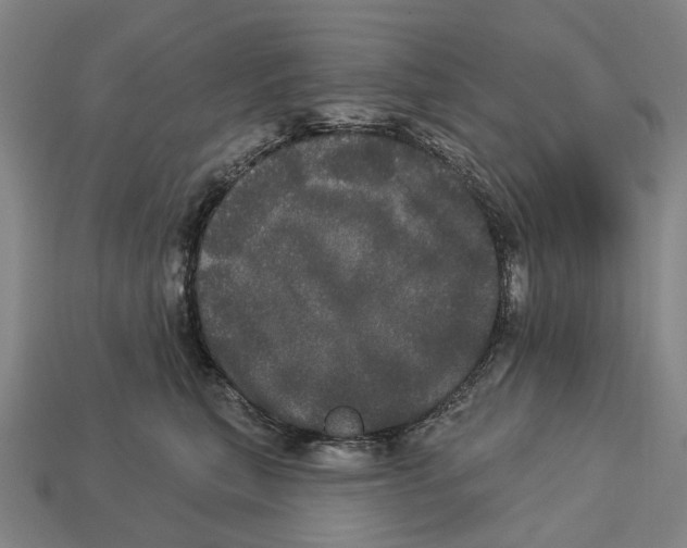 X0000113080567200909250952