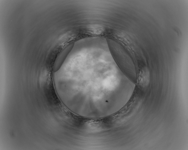 X0000113080568200909250952