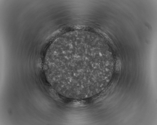 X0000113080569200909250952