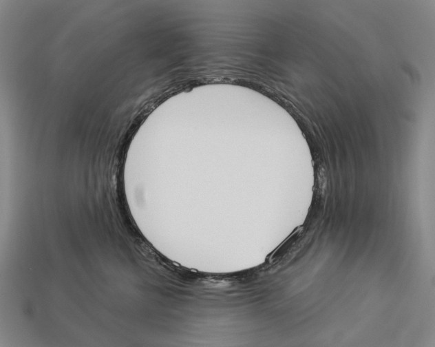 X0000113080570200909250952
