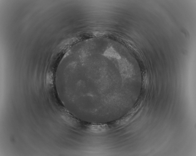 X0000113080571200909250952