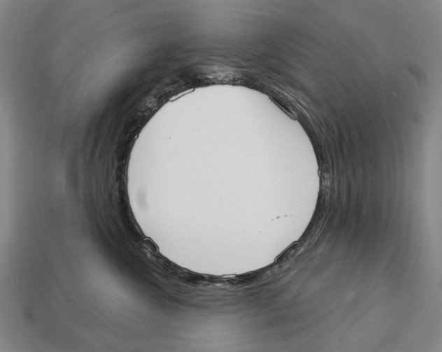 X0000113080572200909250952