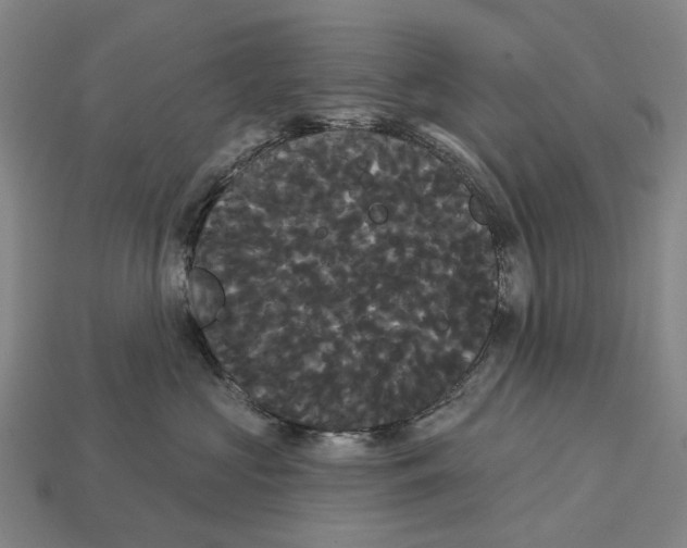 X0000113080573200909250952