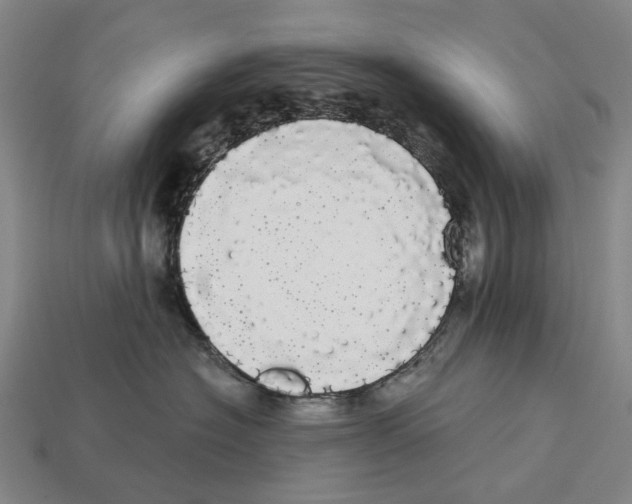 X0000113080574200909250952