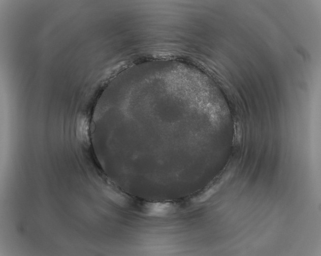 X0000113080575200909250952
