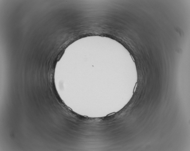 X0000113080576200909250952