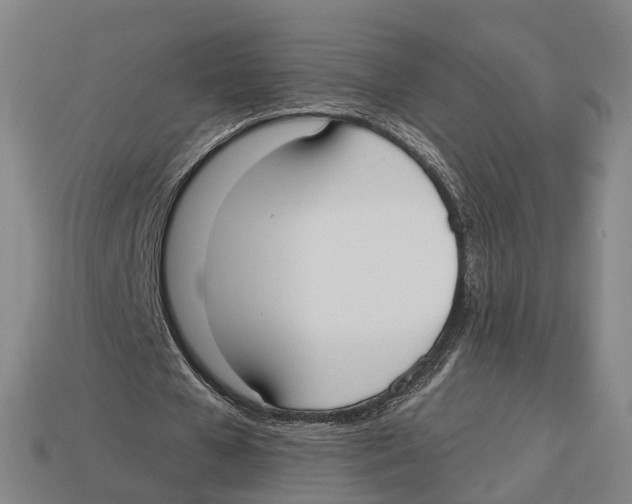 X0000113080577200909250951