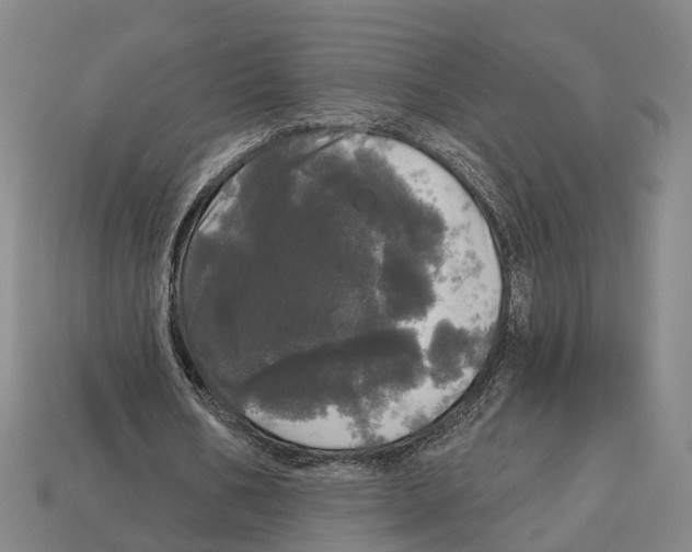X0000113080578200909250951