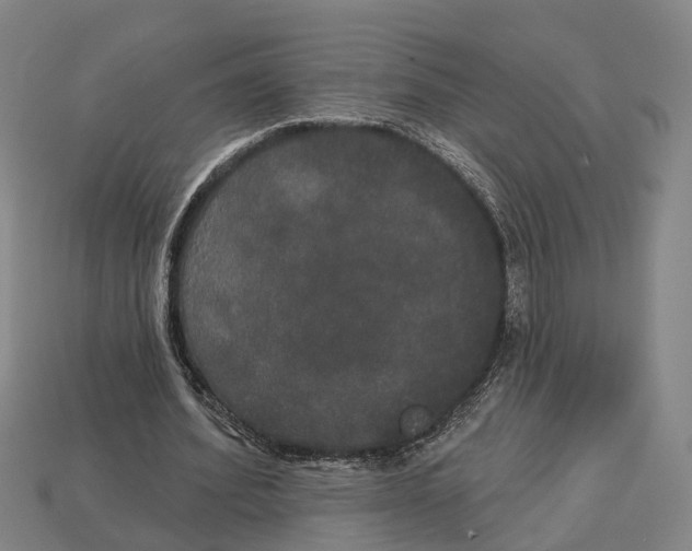 X0000113080580200909250951