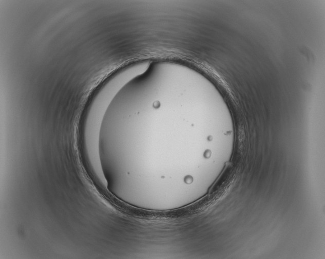 X0000113080581200909250951