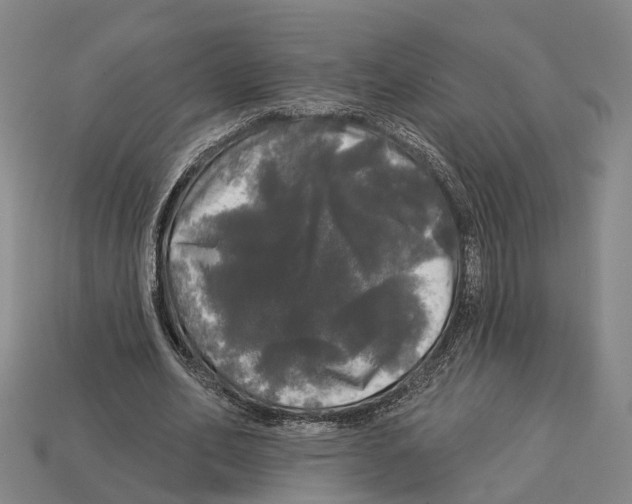 X0000113080582200909250951