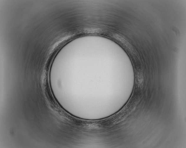 X0000113080583200909250951