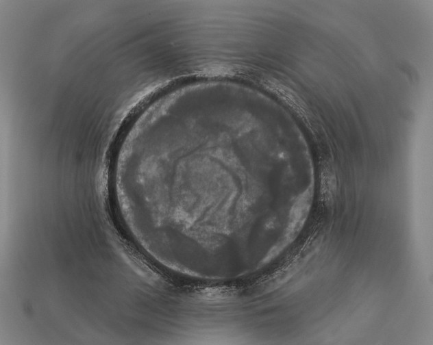 X0000113080584200909250951