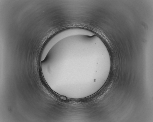 X0000113080585200909250951