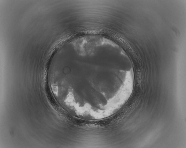 X0000113080586200909250951