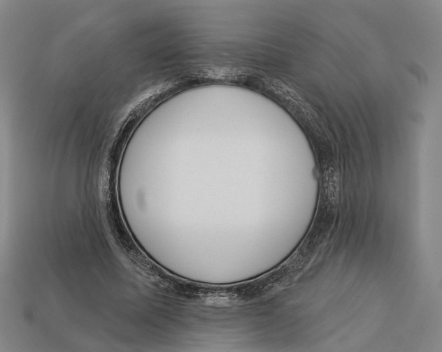 X0000113080587200909250951