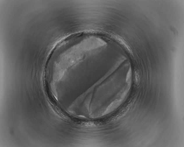 X0000113080588200909250951