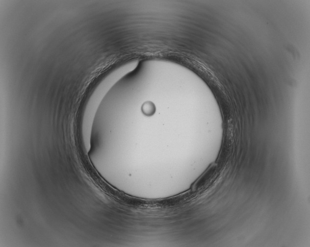X0000113080589200909250951