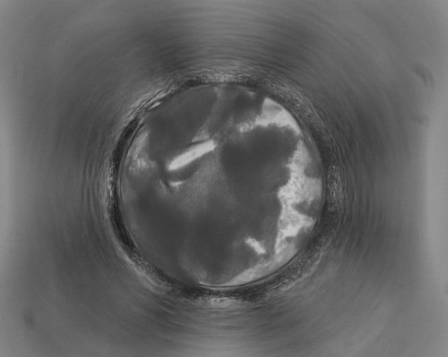 X0000113080590200909250951
