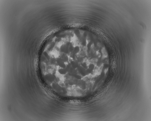 X0000113080591200909250951