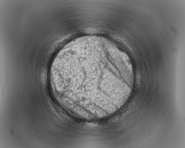 X0000113080592200909250951