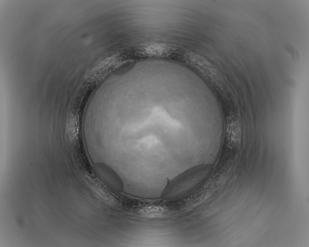 X0000113080593200909250951