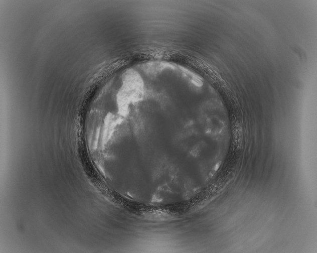 X0000113080594200909250951