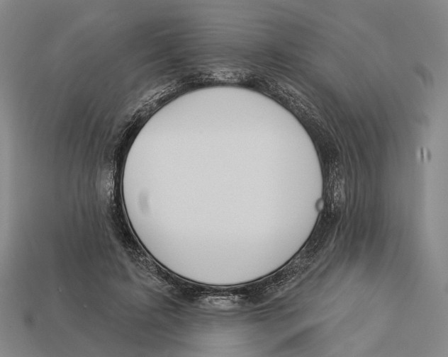 X0000113080595200909250951