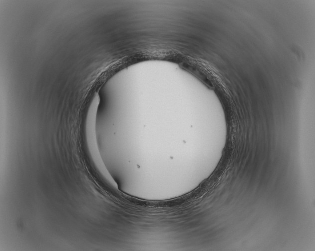 X0000113080596200909250951