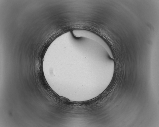 X0000113080597200909250951