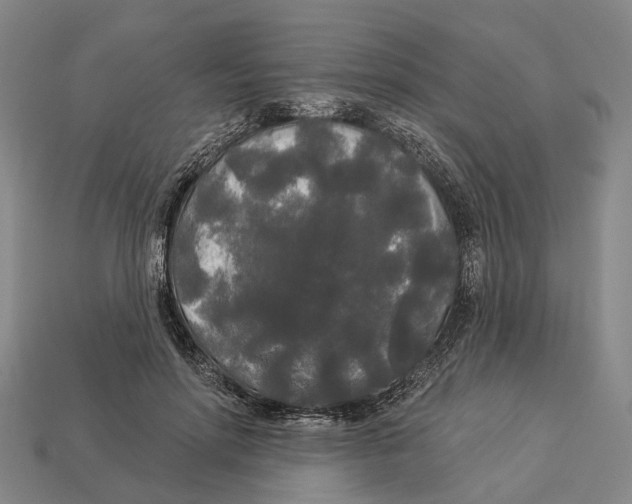 X0000113080598200909250951