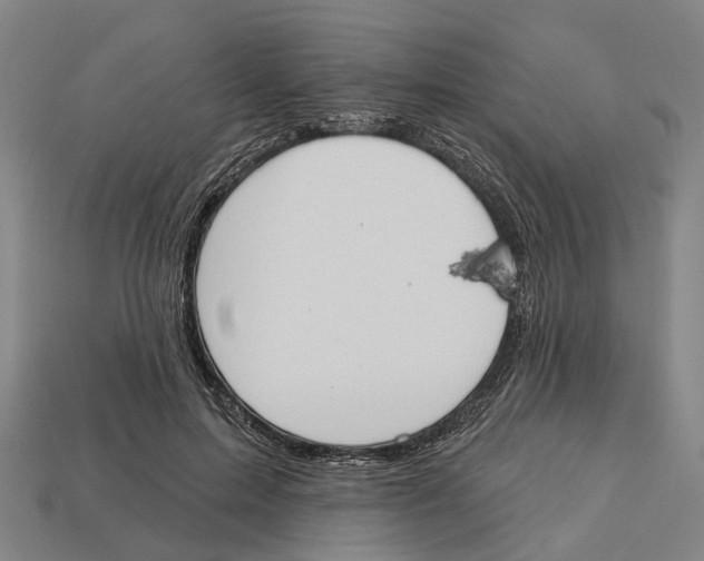 X0000113080599200909250951