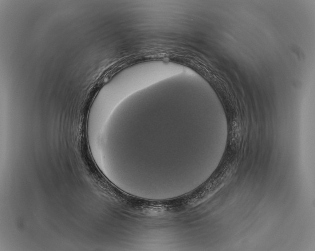 X0000113080600200909250951
