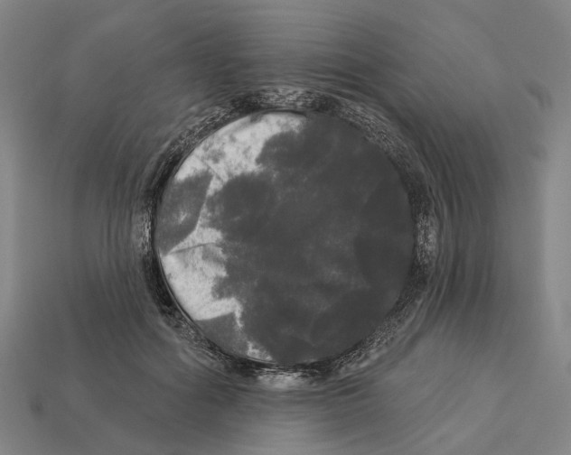 X0000113080602200909250951