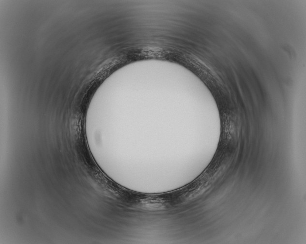 X0000113080603200909250951