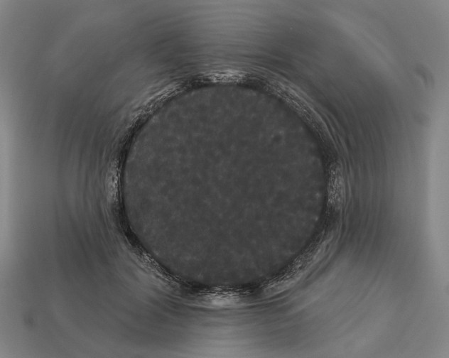 X0000113080604200909250951