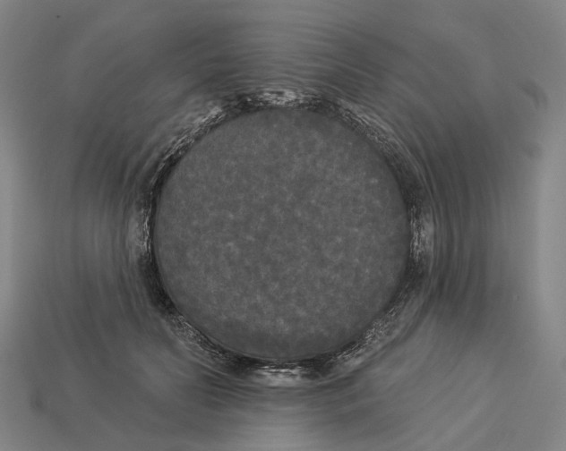 X0000113080606200909250951
